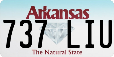 AR license plate 737LIU