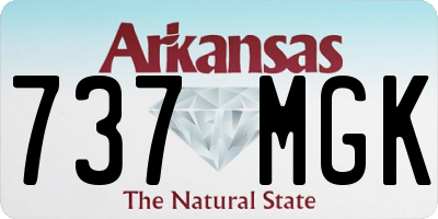 AR license plate 737MGK