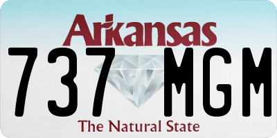 AR license plate 737MGM