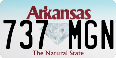AR license plate 737MGN