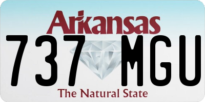 AR license plate 737MGU