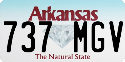 AR license plate 737MGV