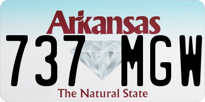 AR license plate 737MGW