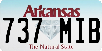 AR license plate 737MIB