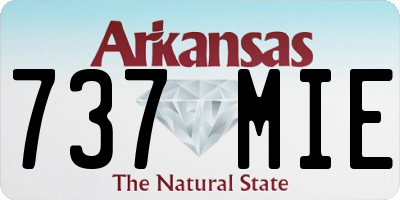 AR license plate 737MIE