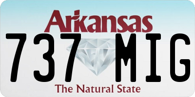 AR license plate 737MIG