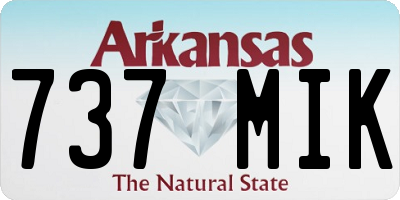 AR license plate 737MIK