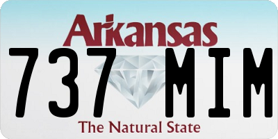AR license plate 737MIM
