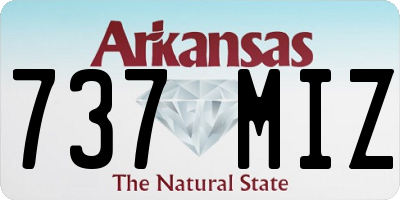 AR license plate 737MIZ