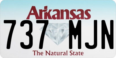 AR license plate 737MJN
