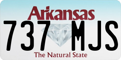 AR license plate 737MJS
