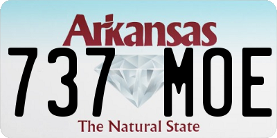 AR license plate 737MOE