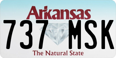 AR license plate 737MSK