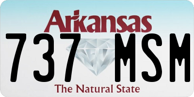 AR license plate 737MSM