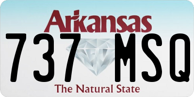 AR license plate 737MSQ