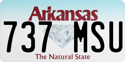 AR license plate 737MSU
