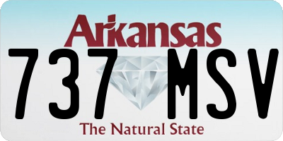 AR license plate 737MSV