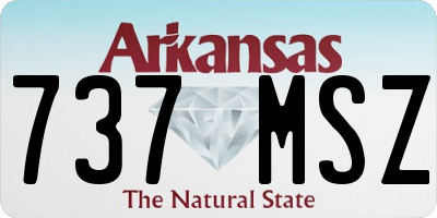 AR license plate 737MSZ