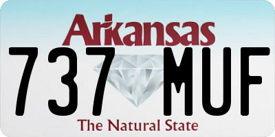 AR license plate 737MUF