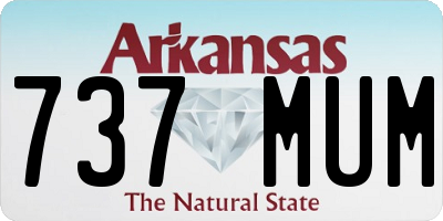 AR license plate 737MUM