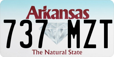 AR license plate 737MZT