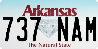 AR license plate 737NAM
