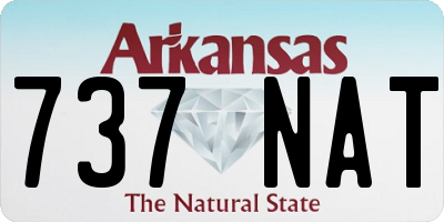 AR license plate 737NAT