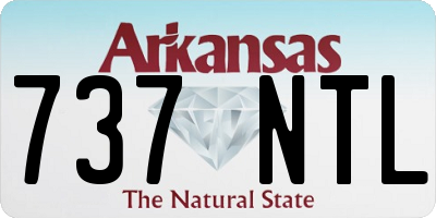 AR license plate 737NTL