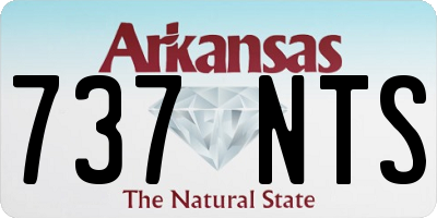 AR license plate 737NTS