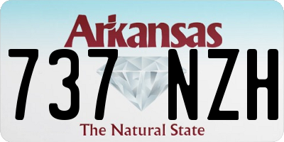 AR license plate 737NZH