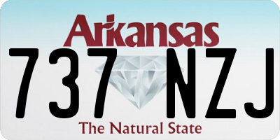 AR license plate 737NZJ