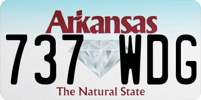 AR license plate 737WDG