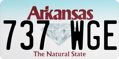 AR license plate 737WGE