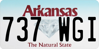 AR license plate 737WGI