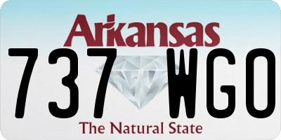 AR license plate 737WGO