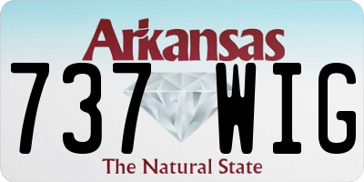 AR license plate 737WIG