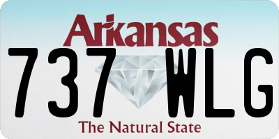 AR license plate 737WLG