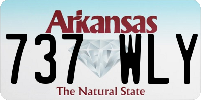 AR license plate 737WLY