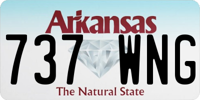 AR license plate 737WNG