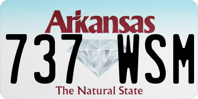 AR license plate 737WSM