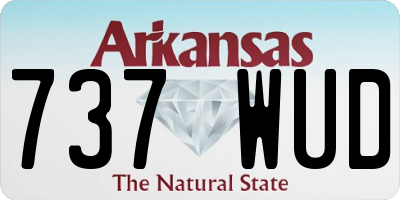 AR license plate 737WUD