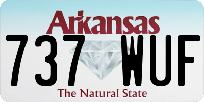 AR license plate 737WUF