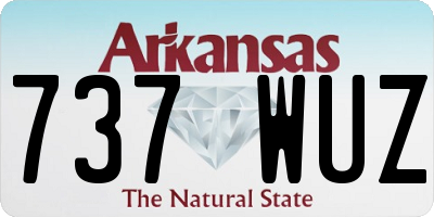 AR license plate 737WUZ