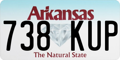 AR license plate 738KUP