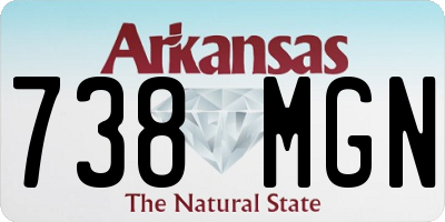 AR license plate 738MGN