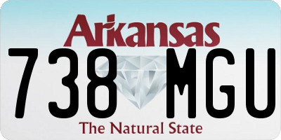 AR license plate 738MGU