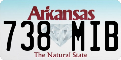 AR license plate 738MIB