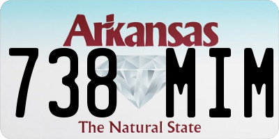 AR license plate 738MIM