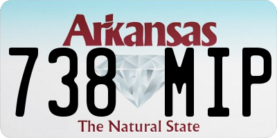 AR license plate 738MIP