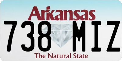 AR license plate 738MIZ